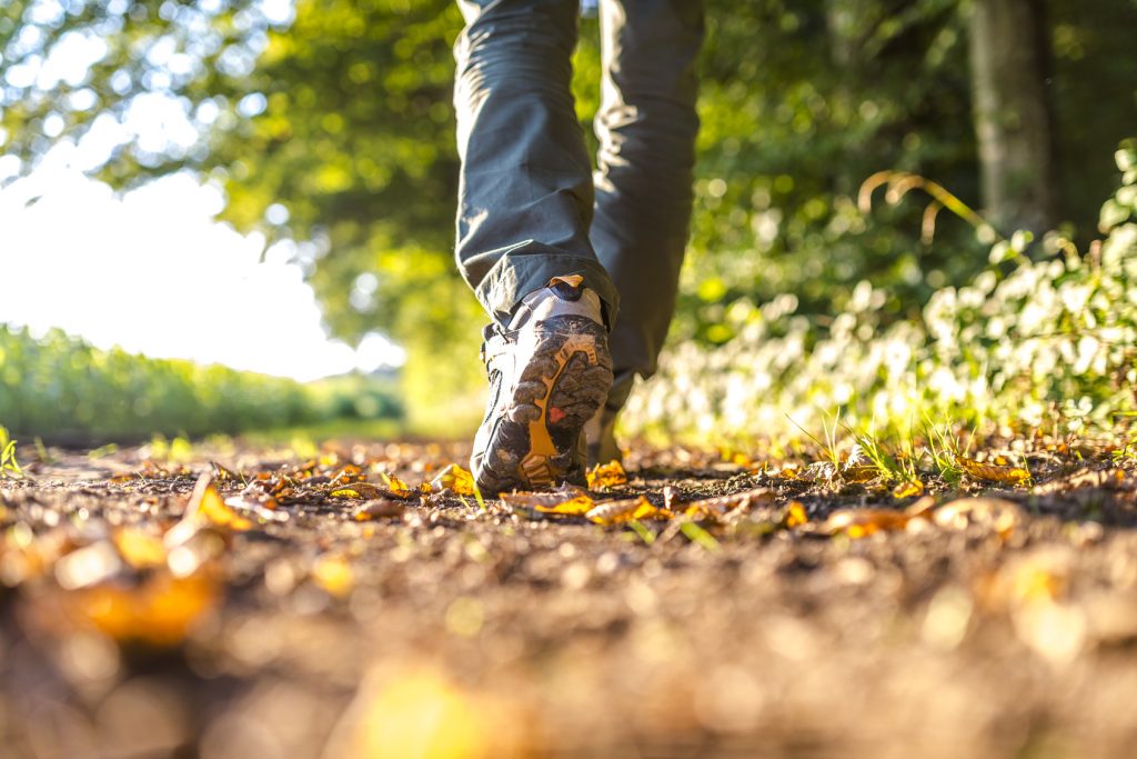 Sabato 26 ottobre: torna la «Camminanotte», l'escursione notturna sui nostri monti